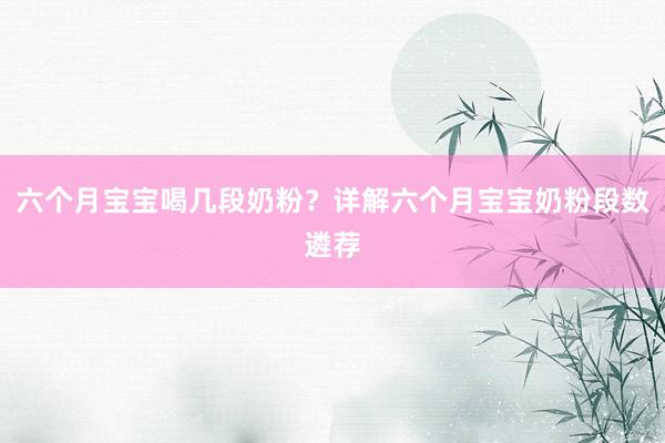 六个月宝宝喝几段奶粉？详解六个月宝宝奶粉段数遴荐